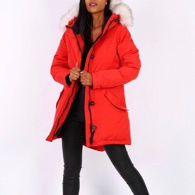 41bbbd3e 800f 47c1 a5a4 a9fd72bb4b69