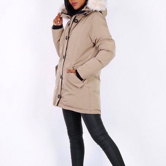 D0aa9271 734d 430d 9e18 5a690d83ca1e